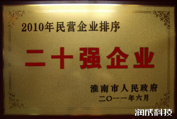 2010年20强企业